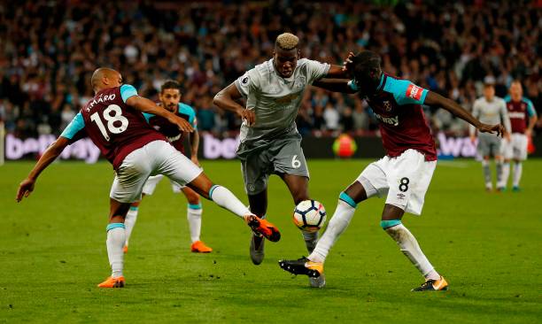 能帮助蓝鹰 能帮助蓝鹰