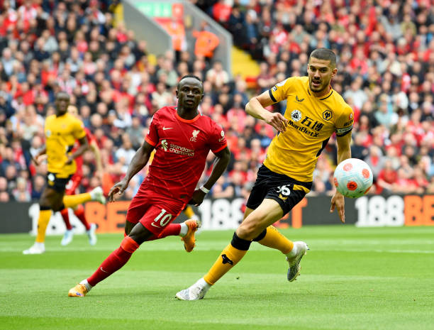 引了本地居 引了本地居